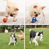 9-14cm 5PCS TPR Multi Styles Durable Interactive Eco Friendly Rubber Ball Organic Dog Chew Cooling Toys