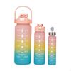 3 Pieces Bottle Set SpillResistant Gradient Water Leakproof Drinkware for Athletes, Gym