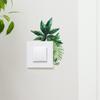Fun-kg54 Tropical Green Plant Leaf Switch Affixed To The Living Room Porch Home Beautification Wall Sticker
