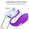 Wireless Bluetooth Dildo Vibrator for Women APP Remote Control G Spot Wearable Vibrating Egg Panties Adult Sex Toys for Couple