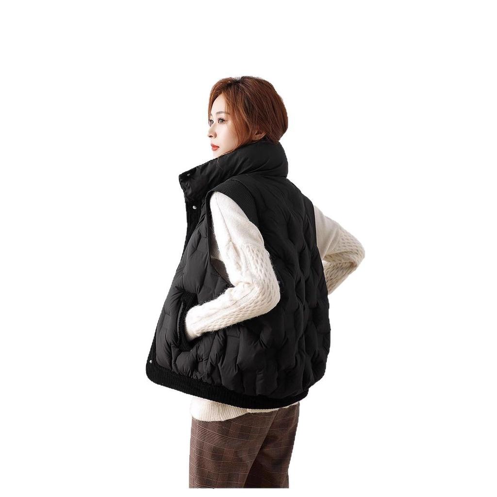 Down vest women's autumn and winter new stand-up collar small fashionable versatile outer vest jacket tide