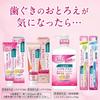 Systema Haguki Plus Toothpaste, Gum Activation, Contains Tranexamic Acid and Vitamin E, Collagen Breakdown Inhibitor, 90g + Million Ryo Lottery (3)