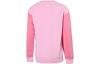 adidas Kids Sweatshirts Crew Neck Moderate HR9316