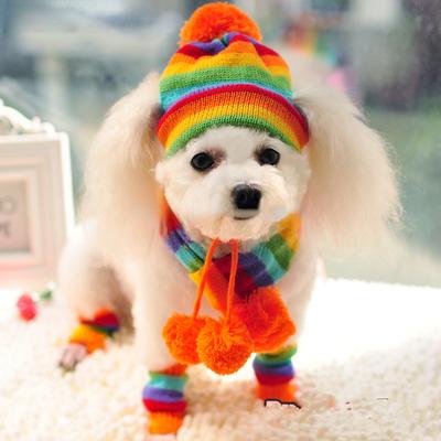 Inverno pet filhote de cachorro acessórios para cães malha listrado chapéus cachecol meias pequenos grandes animais yorkshire chihuahua gato produtos