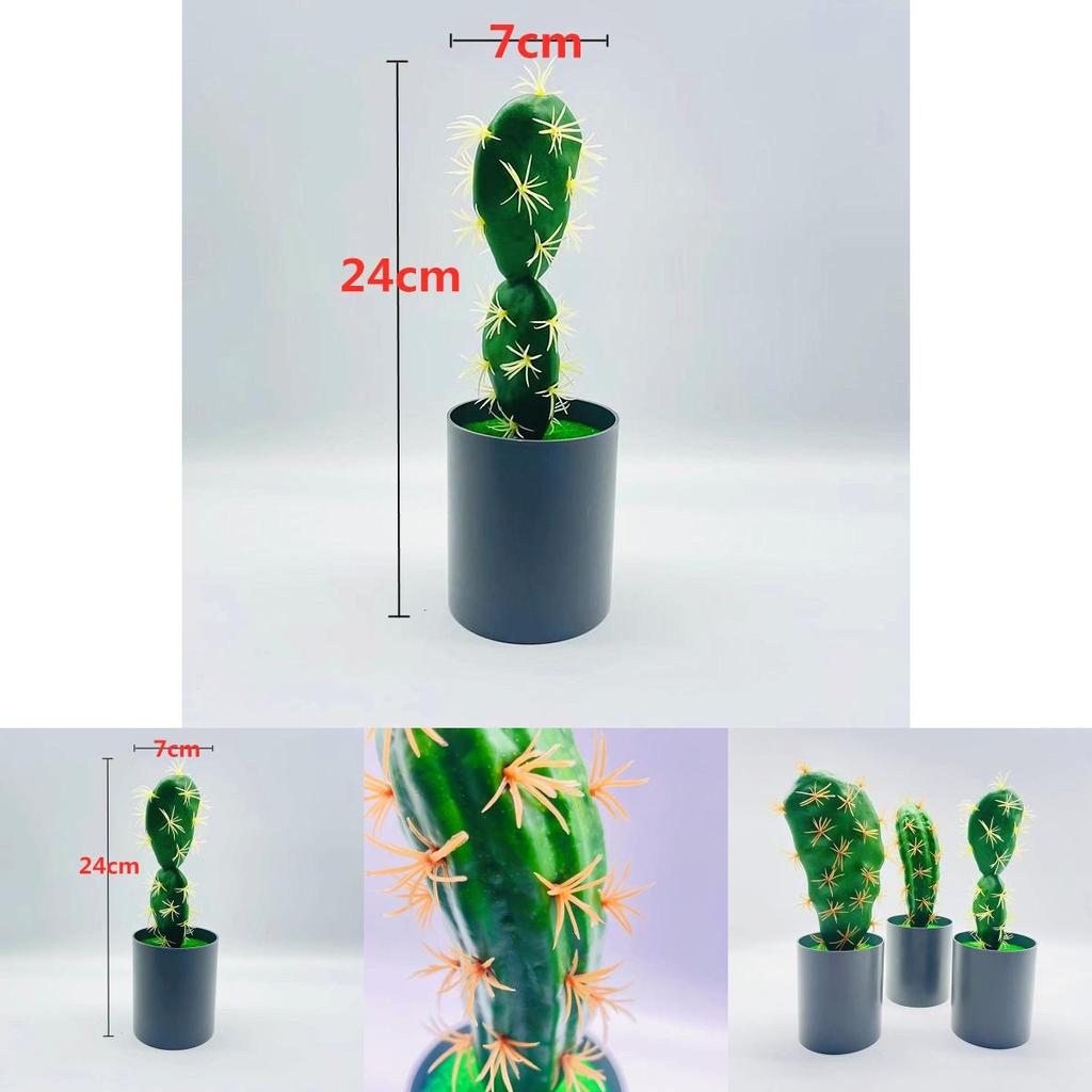 Cactus With Plastic Flowers For Indoor Home And Office Decor