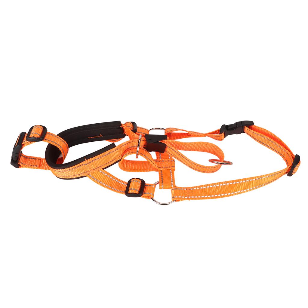 Headcollar Dog Muzzle Adjustable Prevent Biting Barking Breathable Nylon Dog Mouth Guard for