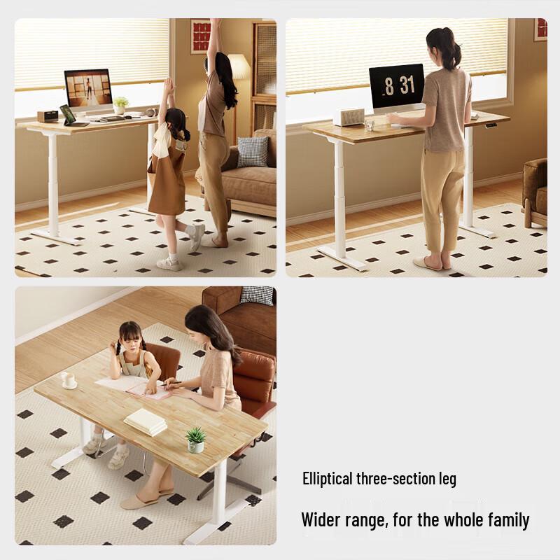 Loctek E6 Solid Wood Electric Standing Desk