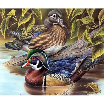 5D DIY Diamant Malerei Wasser Ente Stickerei Kreuzstich Strass Mosaik Wohnkultur