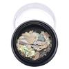1 Box Nail Decoration Small Shells Debris Nail Modification 6 Color Nail Bueaty Nail Art