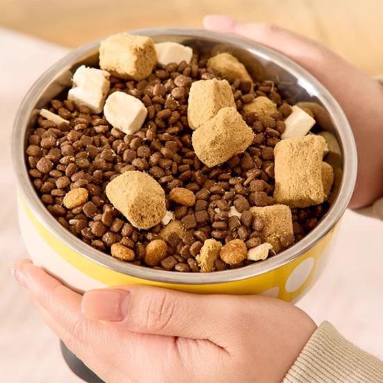Elevated Cat Bowls Stainless Steel Pet Dish with Non-Slip Base Removable Pet Bowls for Food Water Wide Shallow Cat Dish