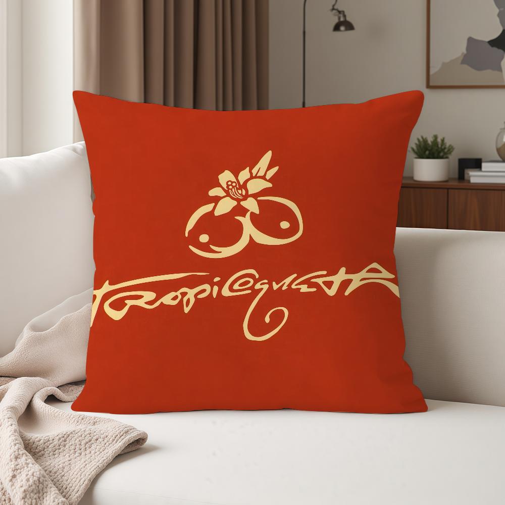 Singer K-Karol G Funny Pillow Case Suitable For Bedrooms Living Rooms Cars Home Decoration