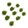 Architectural Model tree Scenery Layout Green Plastic Accessories Wargame