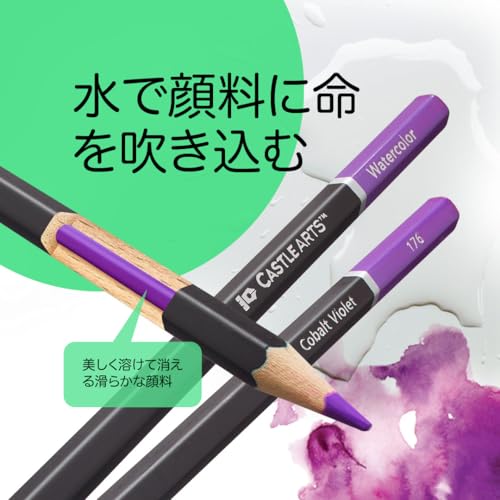 Castle Art Surprise 120-Piece Watercolor Pencil Set | Vibrant Pigments | Draw and Color at the Same Time | For Adult Artists and Professionals | Prote