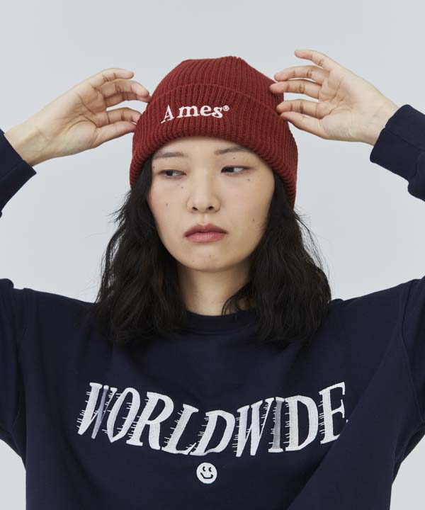AMES-WORLDWIDE Basic Logo Beanie Brick