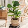 Wedding Lifelike Office Greenery Fake Plant Artificial Ficus Branch Floral Arrangement Faux Leaves