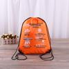 Custom Polyester Waterproof Double Drawstring Backpack with Logo