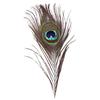 10 Stück Pfauenfedern mit Augen DIY Basteln 25-30cm Ornamente Heim Zimmer Dekoration