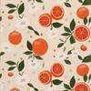 Outdoor Dekostoffe Oxford - Motiv Obst | Dx6539