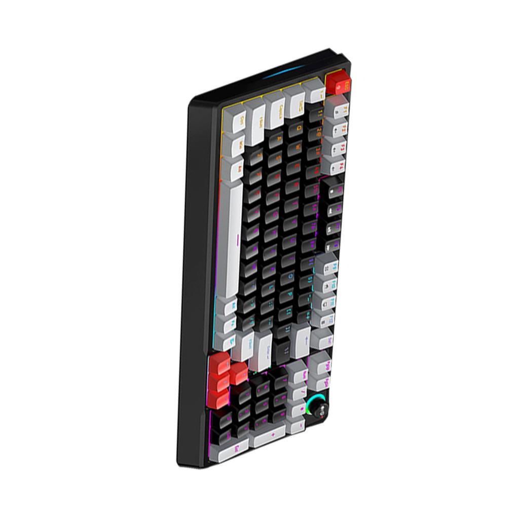 T WOLF T50 RGB Mechanische Tastatur 98 Tasten Hot-Swap Blue Switch mit Dynamischer Beleuchtung Ergonomisches Design für PC