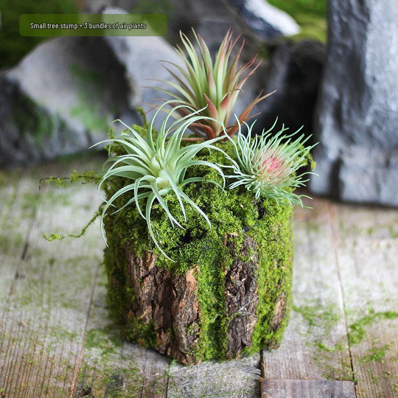 Forest Style Artificial Tree Stump with Moss Bark - Kindergarten and Country Style Decorative Ornament, Perfect for Landscaping or Inserting Flowers.