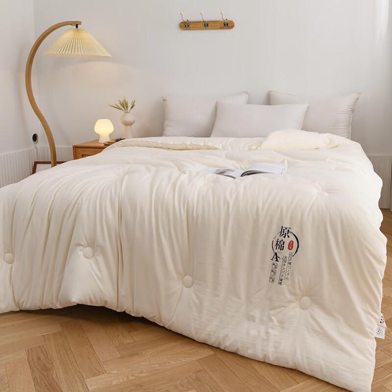 Luxury Soybean Fiber Winter Quilt