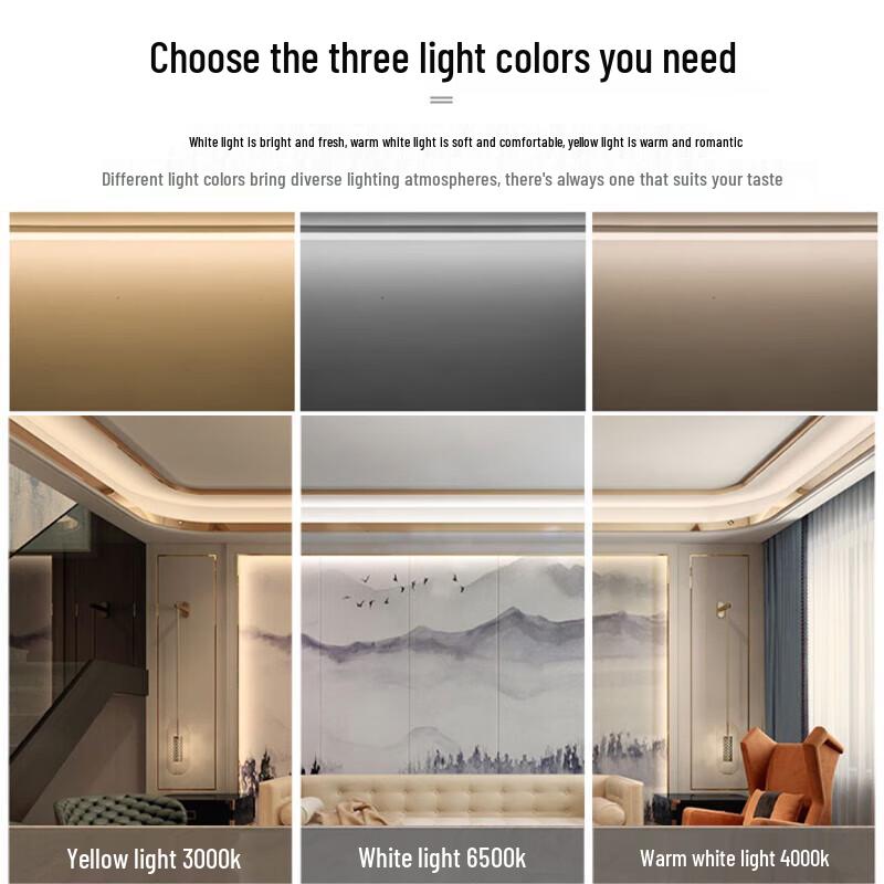 FSL T8 LED Double-ended Tube Light