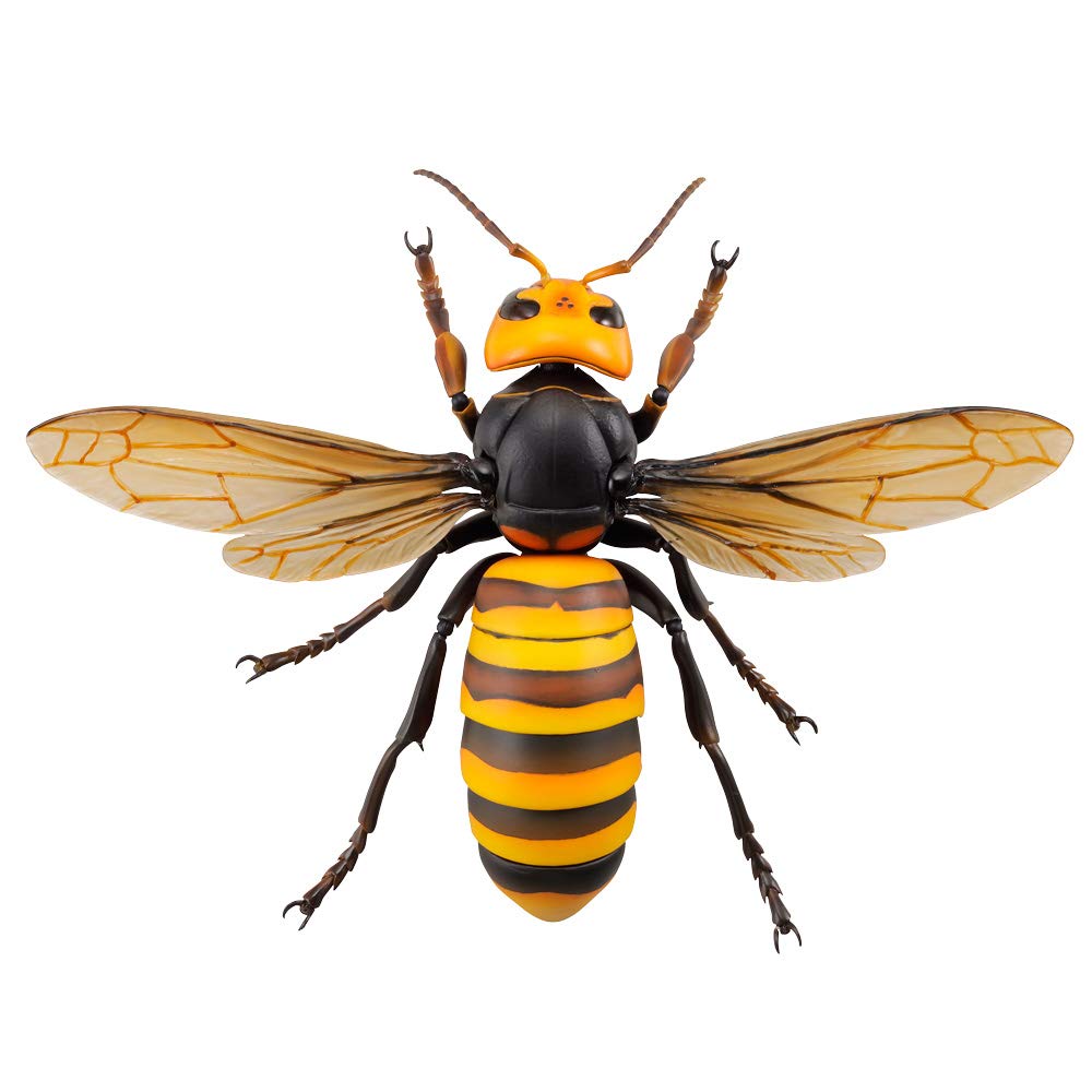 Kaiyodo Rebogio Giant Hornet, Approximately 180mm in Length, PVC & ABS, Painted, Movable Figure, Resale, RG004S