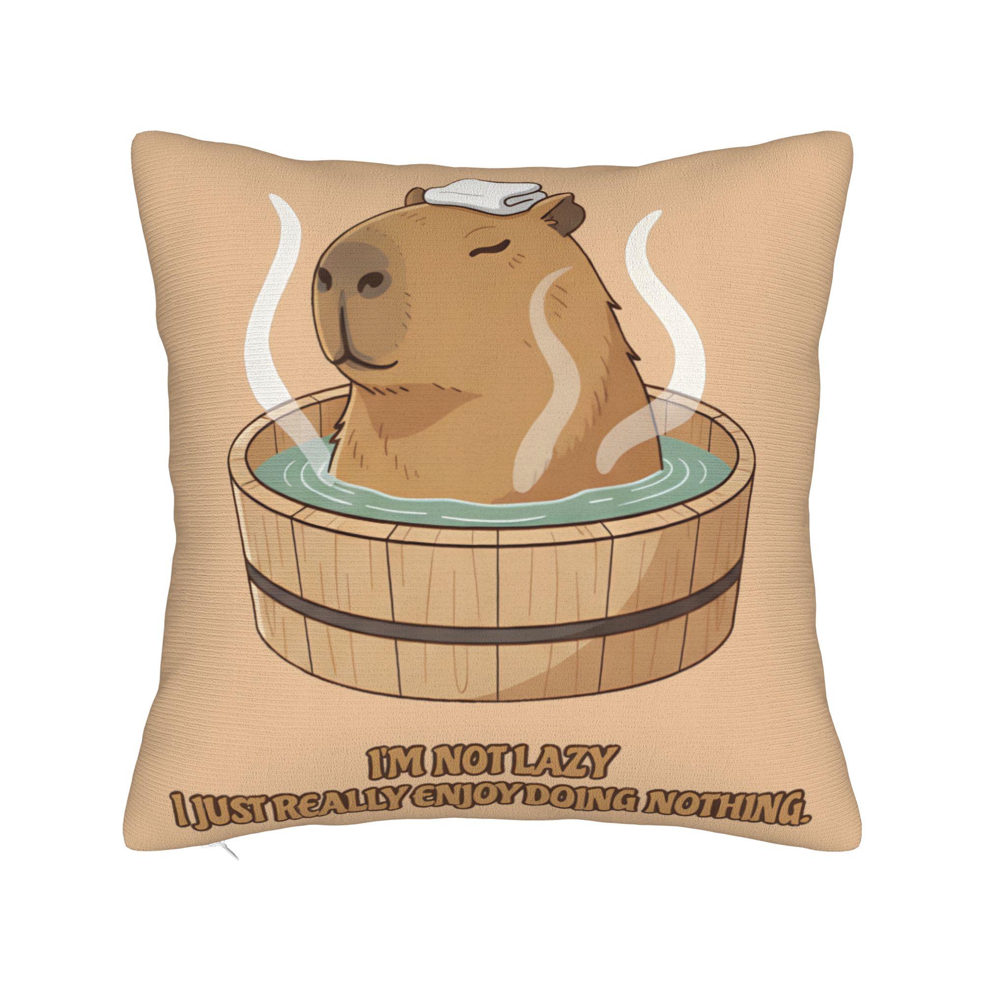 Decorative Pillowcase I m Not Lazy I Just Really Enjoy Doing Nothing Sofa Throw Pillow Case Cover Square Multiple Sizes 30×30cm