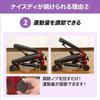 Shop Japan Health Stepper Niceday Premium Wood Resistance Adjustment and Support Mat Set Aerobic Stepping Seated Exercise Aerobic A Series Loved for