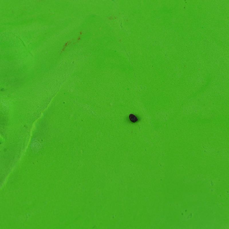 500g Super Leichter Weltraumknete-Set für DIY-Bastelarbeiten - Enthält Werkzeuge & farbige Knete für Kinder