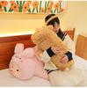 Cartoon Dinosaur Transforming Plush Pig Toy - Long Fur Sleeping Hug Pillow
