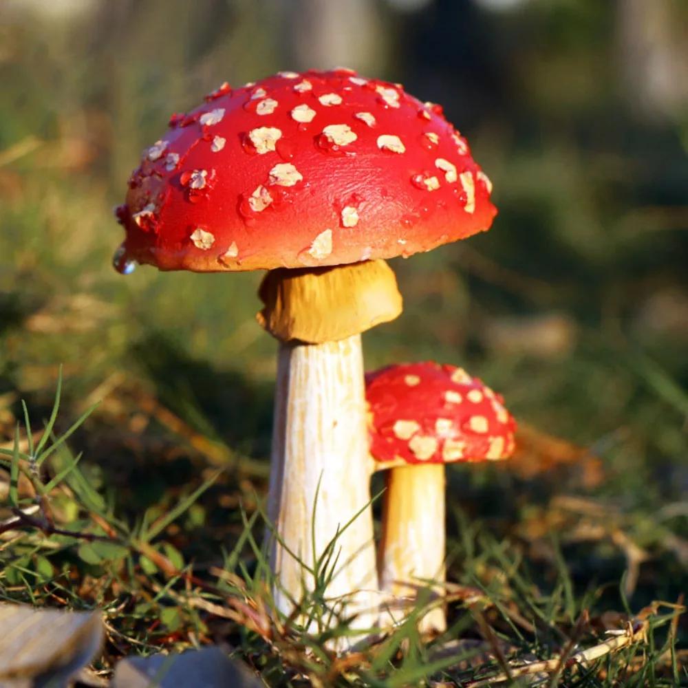 Red Miniatures Mushroom DIY Decoration Crafts Mushroom Resin Statue Figurine Outdoor Bonsai Ornament Fairy Flowerpot Plants