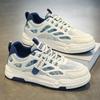 Spring mesh casual board shoes men's shoes