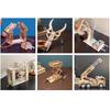 Children's DIY Wooden Hydraulic Transmission Assembly Kit