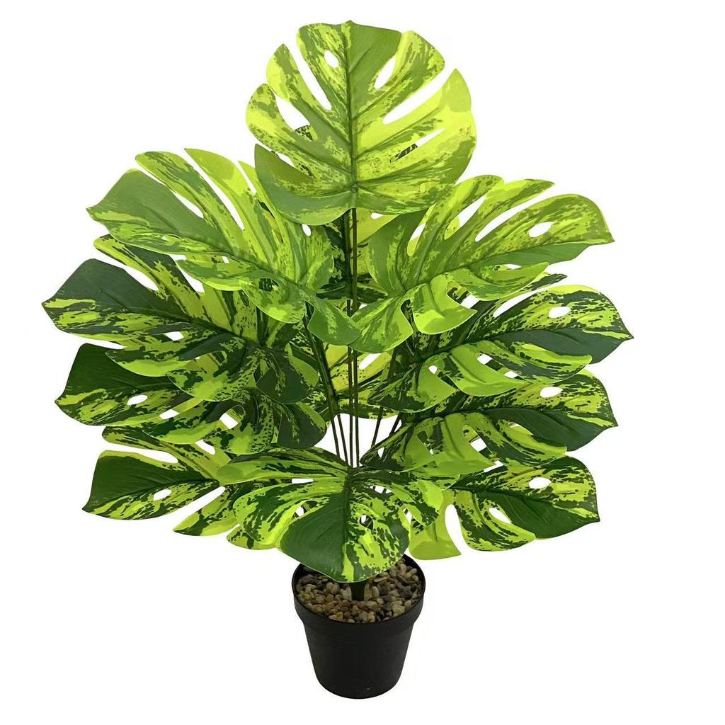 Nordic Style Variegated Monstera: Potted Plant for Home & Garden Decor