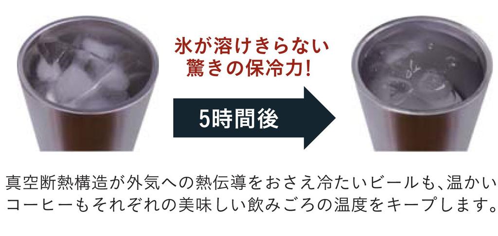 Doshisha Drinking Beer Tumbler, 300ml, Mirror, DSB-300ML
