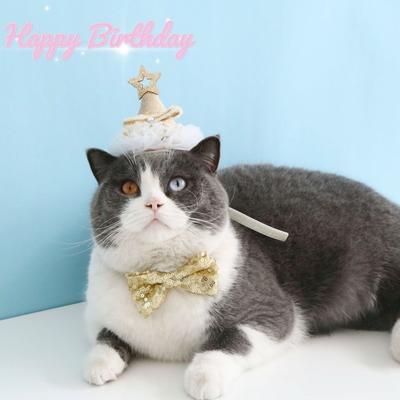 Comfortable Fit Pet Bowtie Headdress Adjustable Cat Princess Hat  Holiday Decoration