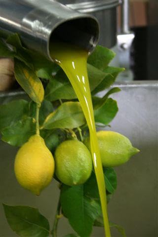 Disanti Lemon Olive Oil 500ml X 2 Bottles