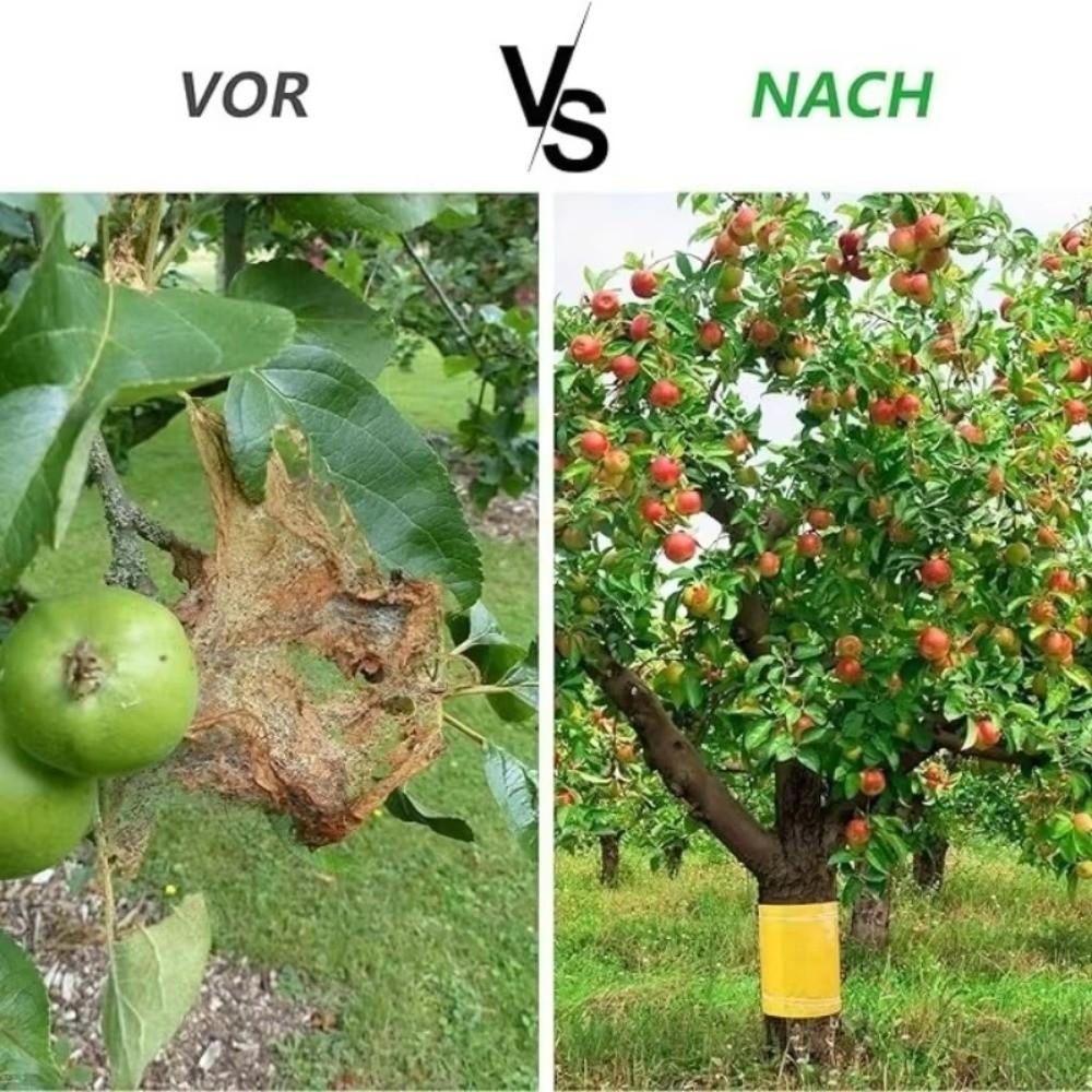 5/10M Outdoor Insect Trap Double-sided Crawling Insect Trap Fruit Fly Traps  Gnats Prevention