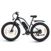 SPATIAL Parrot Bicicletta Elettrica da Donna All-Terrain Motore 250W Batteria 48V13AH Bicicletta Elettrica da Passeggio all'Aperto Bici Elettrica da Montagna Off-Road da 26 Pollici