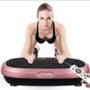 LDIWEI R103 Home Whole-Body Vibration Plate CN plug (adapter included)