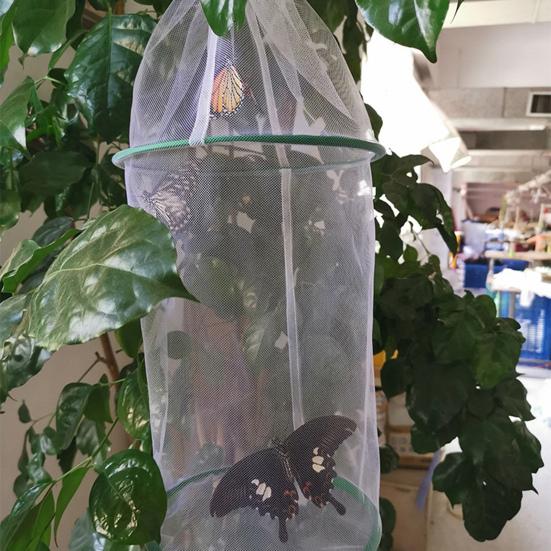 Butterfly Experiment Cage Handheld Easy Storage Folding Breathable Transparent Feeding Portable Observation