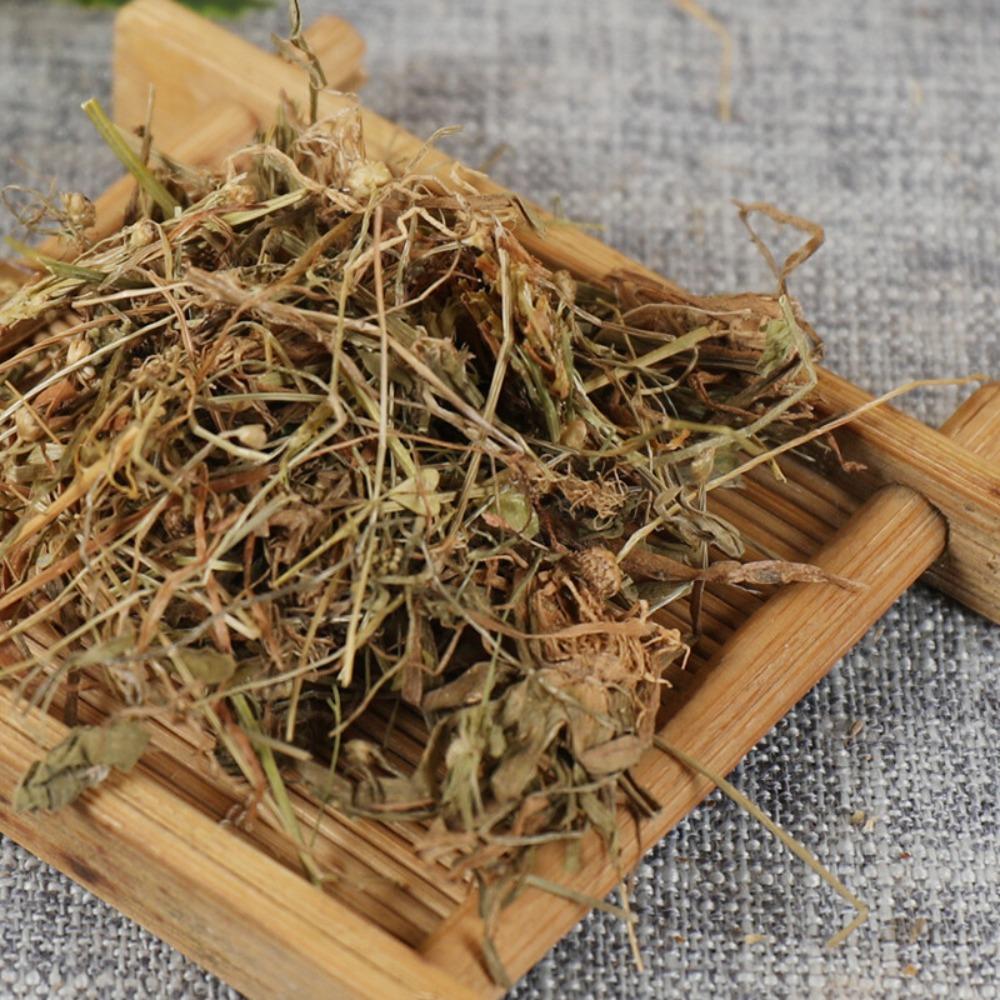 250g/500g Chinese Natural Herbal Tea Gujingzi Organic Green Tea Loose Leaf