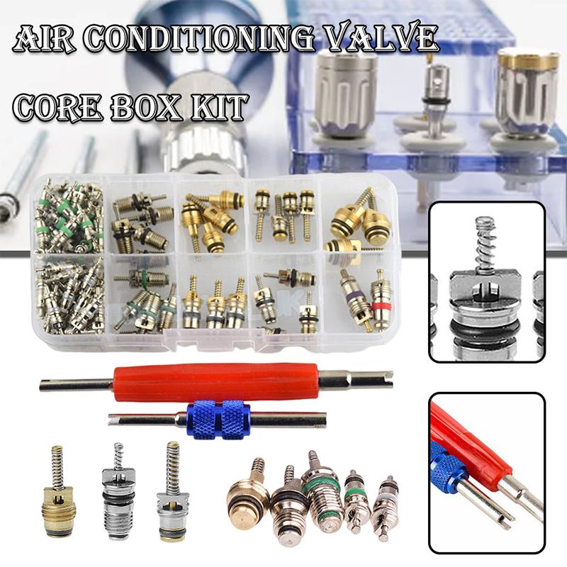 

Mayitr 102pcs Car R134a/R12 A/C Air Schrader Valve Core & Remover Kit 1/4 5/16