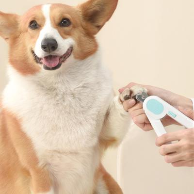 Güvenlik Kilidi ile LED Evcil Hayvan Tırnak Makası Hafif Kedi Tırnak Makası LED Işıklar Paslanmaz