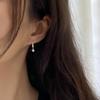 925 Sterling Silver French Water Drop Shining CZ Earrings for Women Teens Girl Party Gift