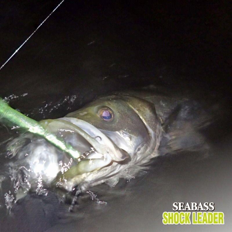 Used [VARIVAS] Varivas Seabass Shock Leader Fluorocarbon 30m Natural 25lb