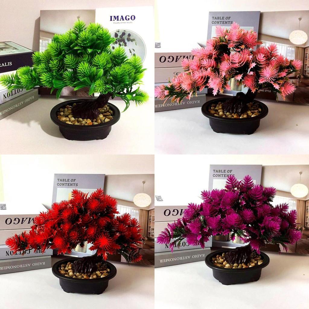 Plastics Simulated Pinus Hwangshanensis Artificial Green Plants  Plants Potted