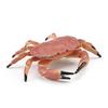 Simulation Animal Model Vivid Intelligence Development Solid Aquarium Miniature Crab Cognition Education Toy for Home