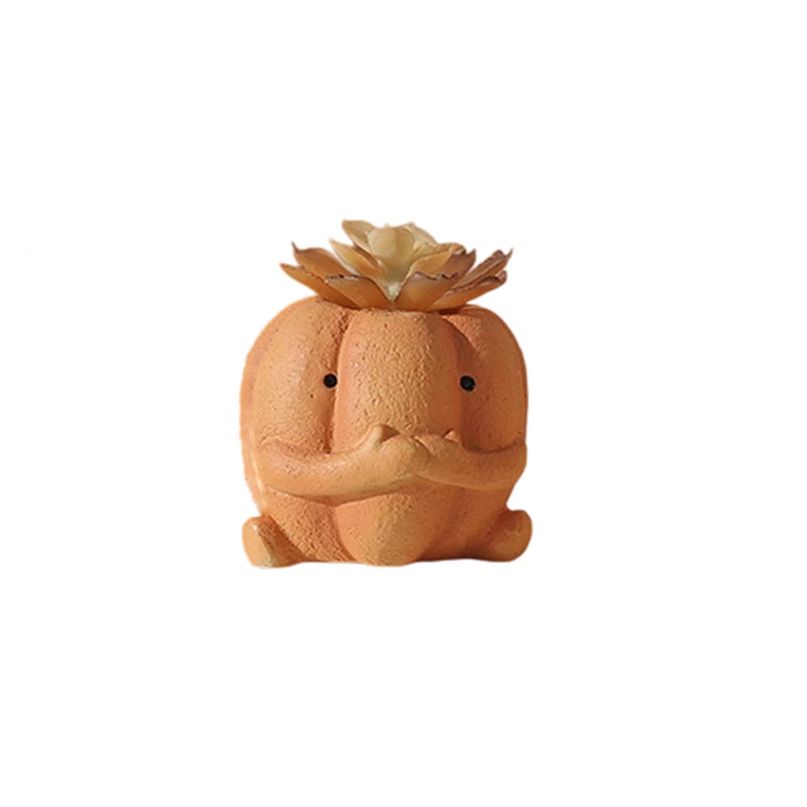 

Green Plant Decoration, Indoor Desktop Home, Tea Table, Creative Decoration, Potted Plants, Bonsai One Size